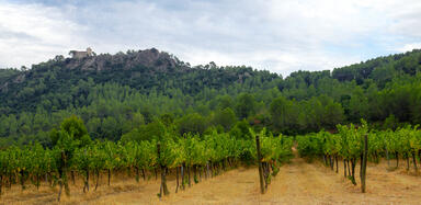 Torrelles de Foix; Alt Penedès; Serres d’Ancosa. [Fotografia]