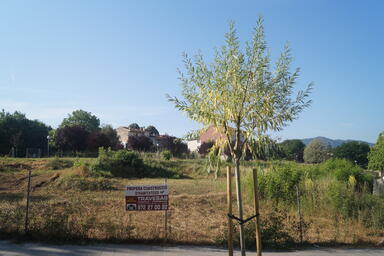 Olot; Garrotxa; Valls d&rsquo;Olot. [Fotografia]