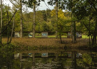 Olot; Garrotxa; Valls d&rsquo;Olot. [Fotografia]